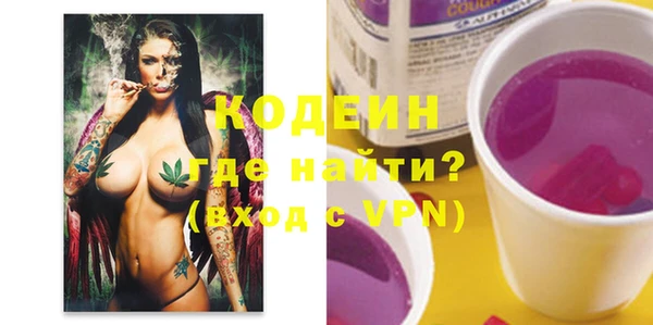 шишки Нея