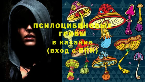 дурь Алзамай