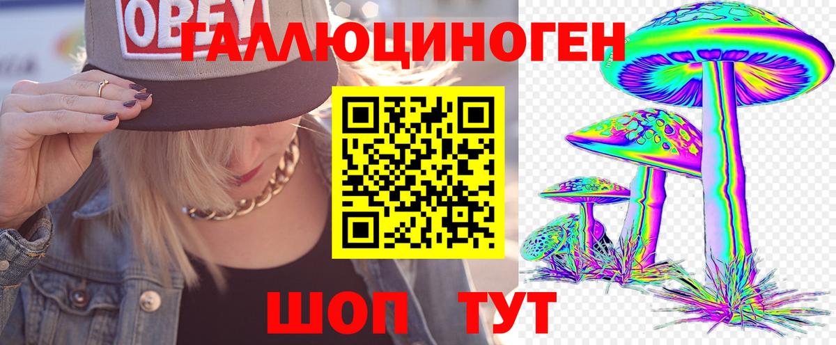Псилоцибиновые грибы Psilocybine cubensis  Псилоцибиновые грибы GOLDEN TEACHER  Вход с VPN  сколько стоит  Махачкала 