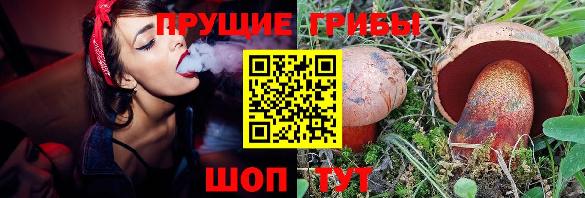Псилоцибиновые грибы MAGIC MUSHROOMS Махачкала